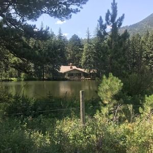 Meet your Posher, Joan